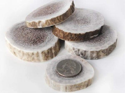 Elk Antler Round Cookie Chews