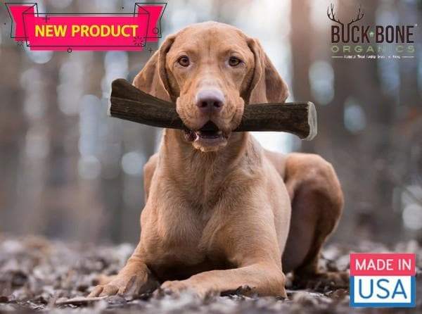 Buck Bone&reg; Naturally Shed Elk Antler Dog Chew