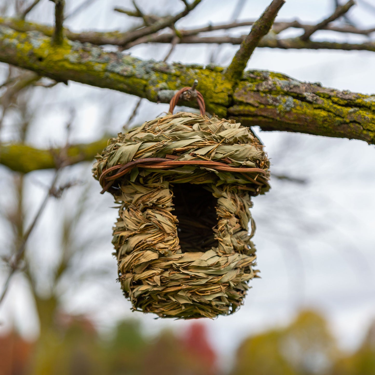 Roosting Pocket Birdhouse