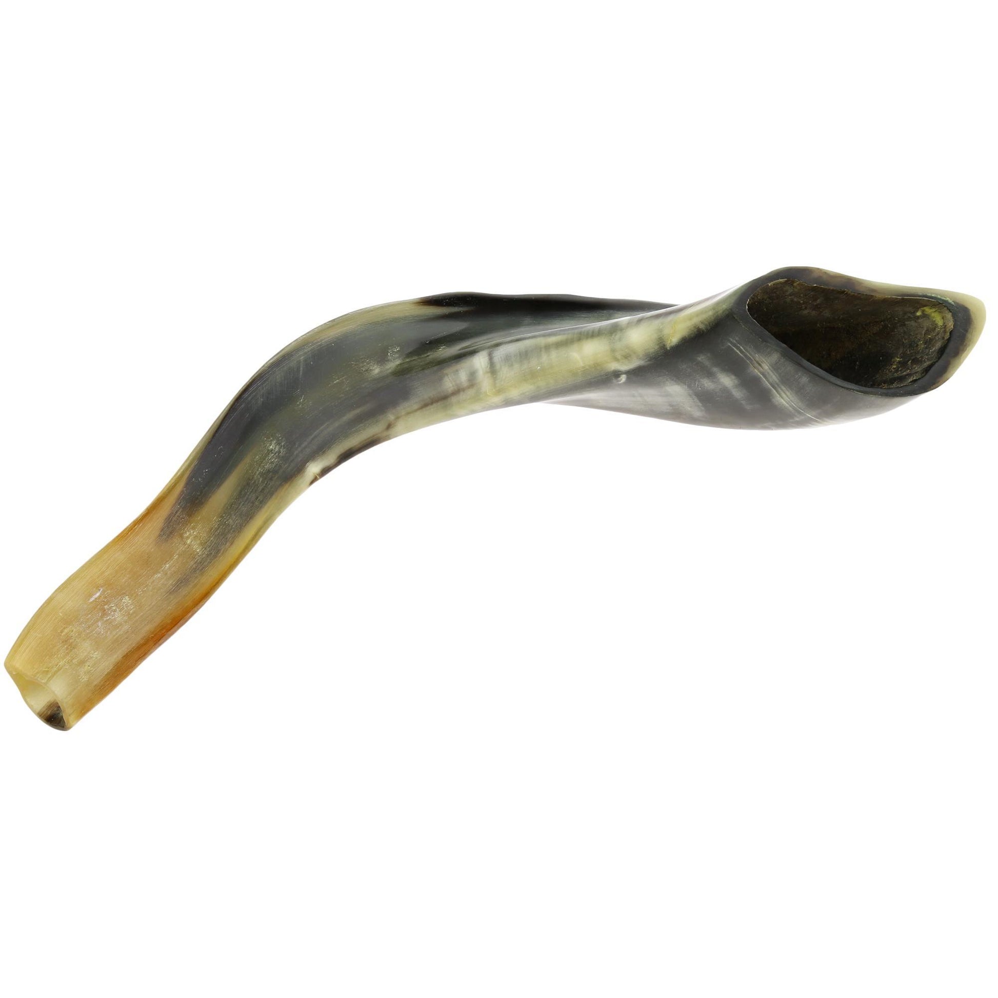 Shofar Ram's Horn