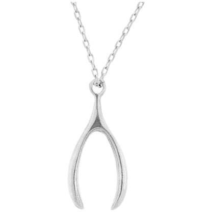 Lucky Wishbone Pewter Jewelry!