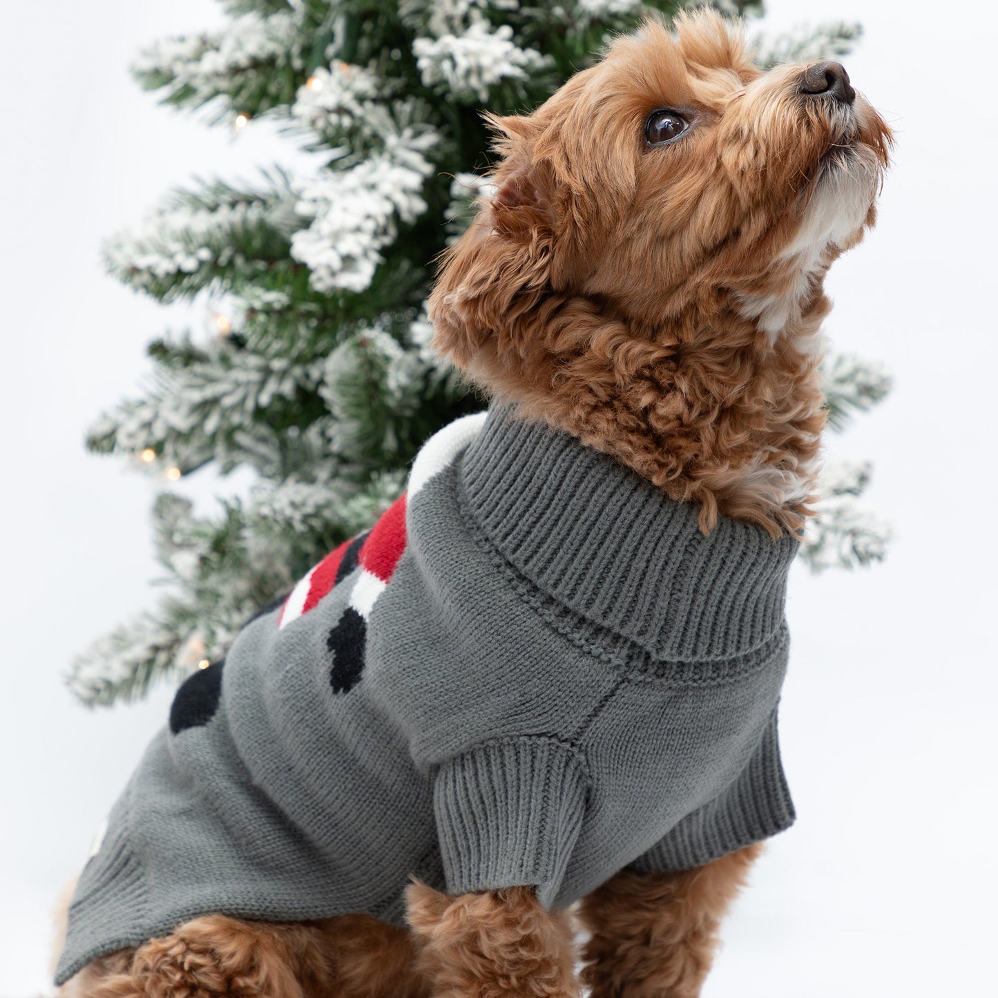 Cozy Christmas Pet Sweater