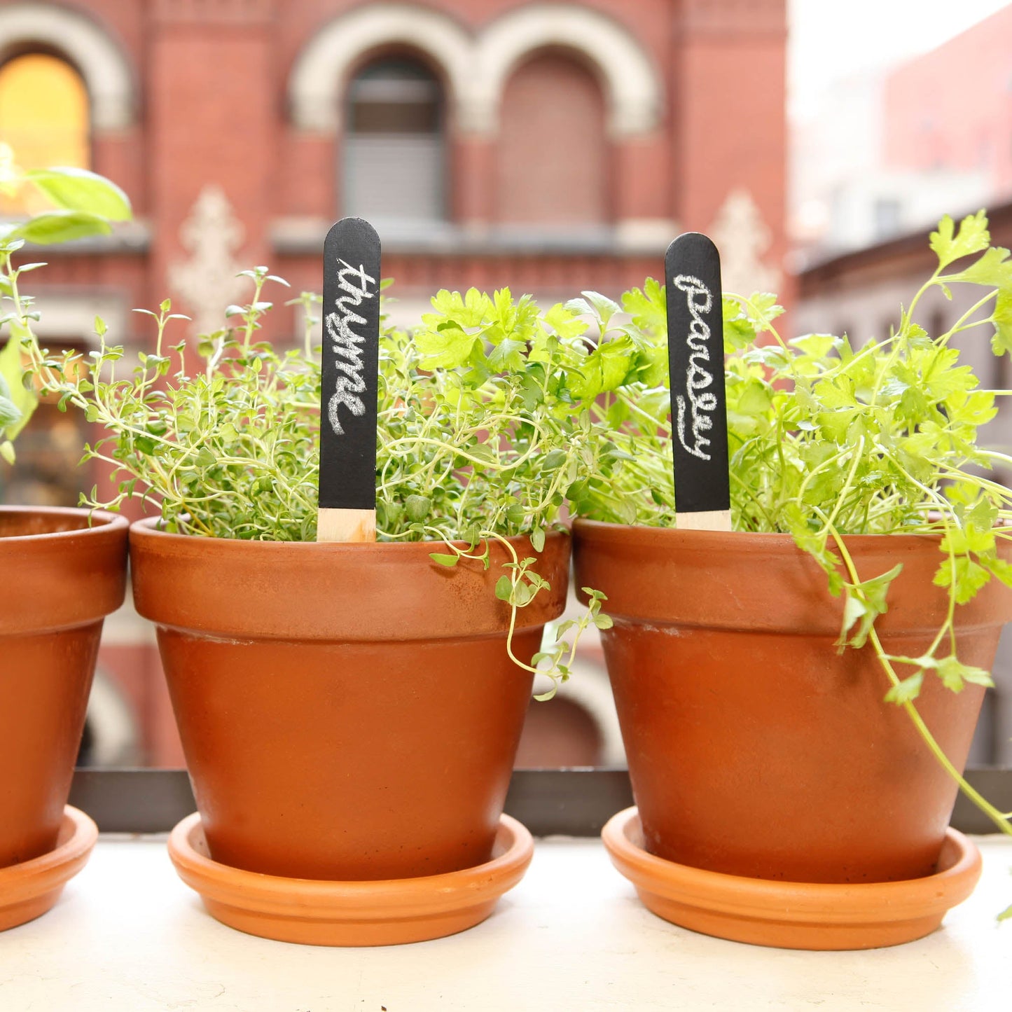 Reuseable Garden Markers