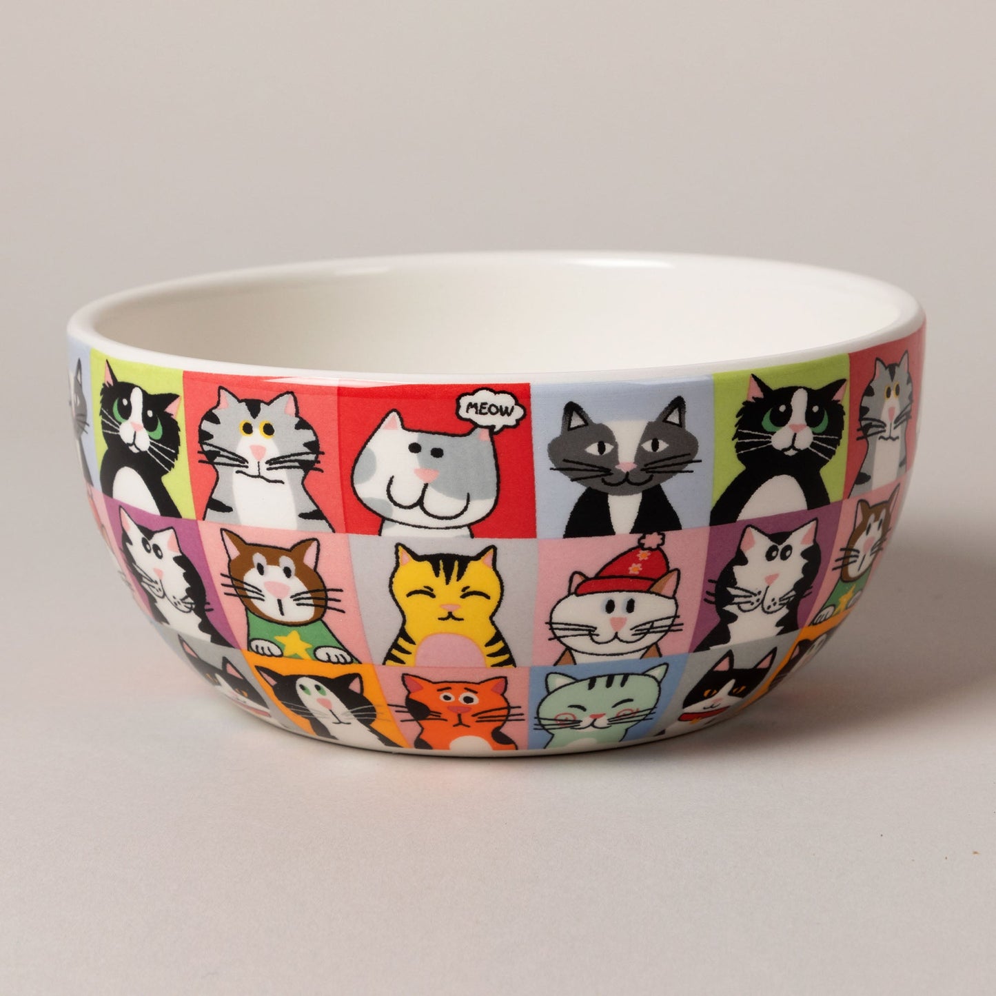 Pet Portrait Bowls - Set of 4