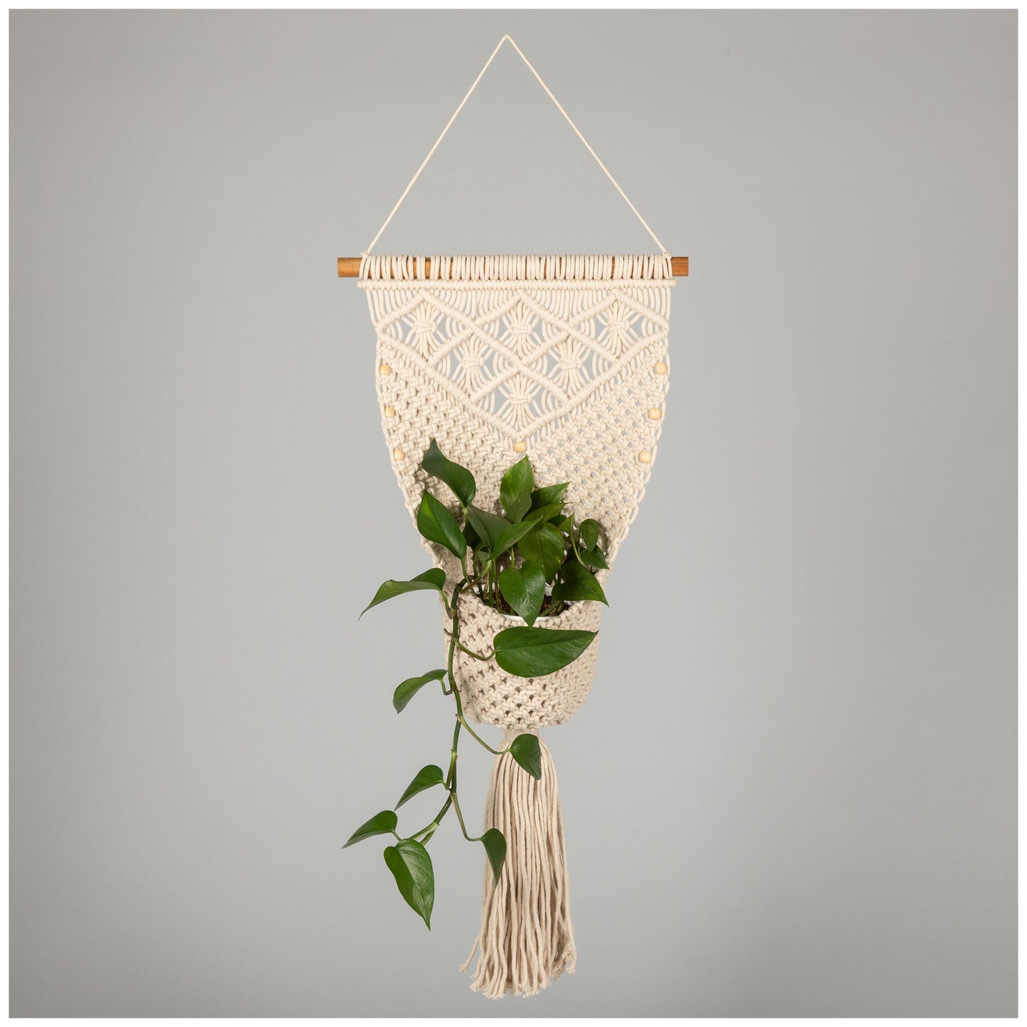 Macrame Hanging Wall Basket