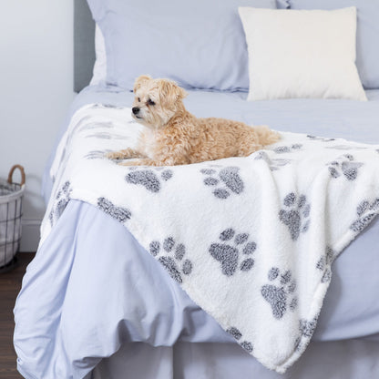 Paws I Love You Plush Sherpa Fleece Pet Blanket
