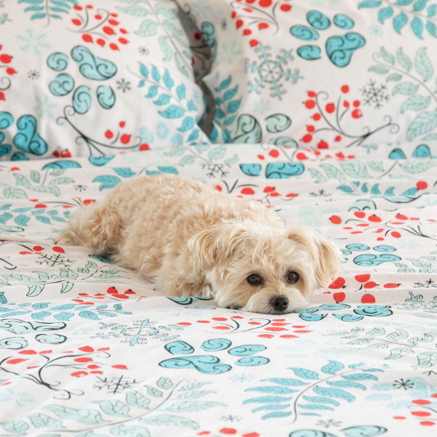 Winter Paws Flannel Sheet Set