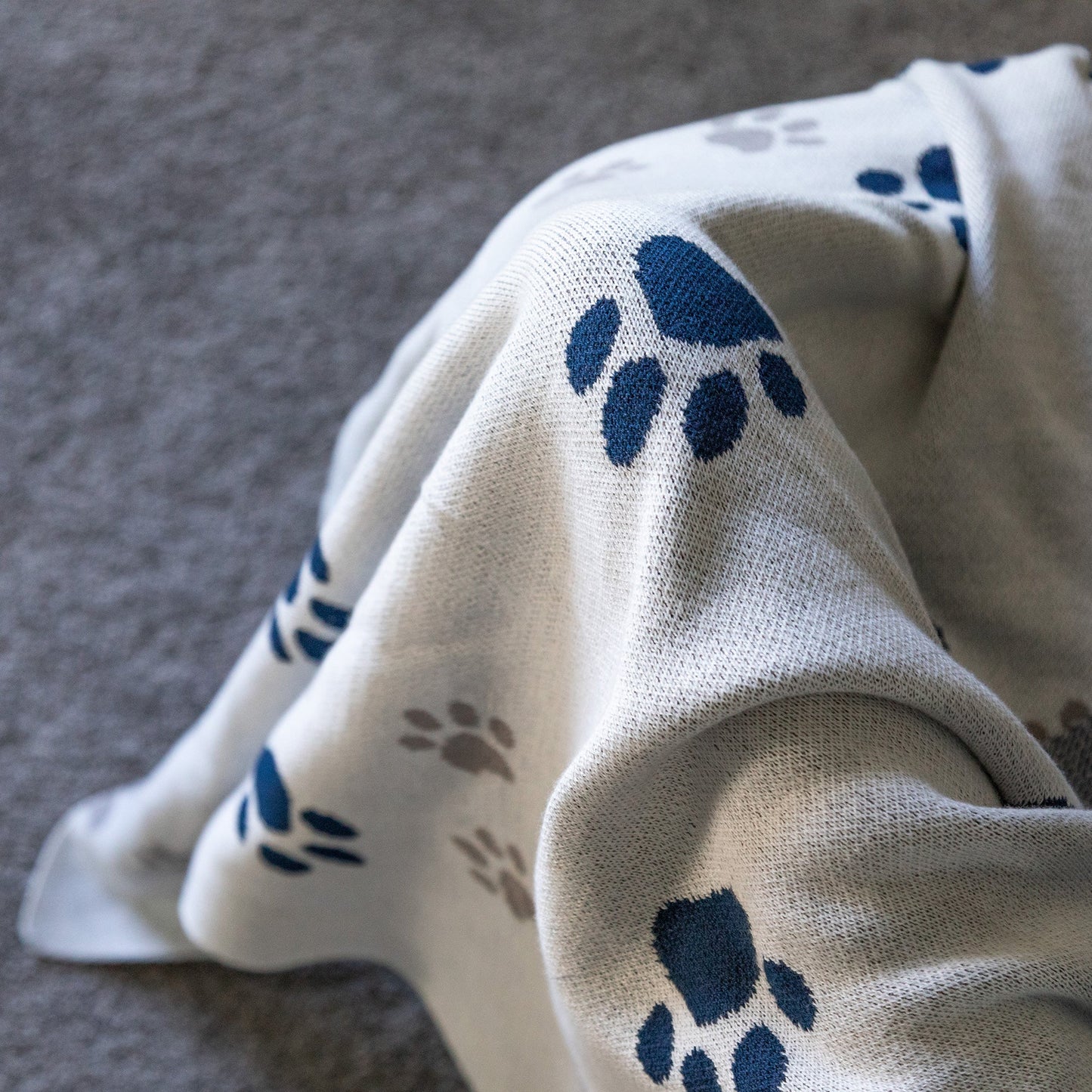 Paw Print Cotton Knit Throw