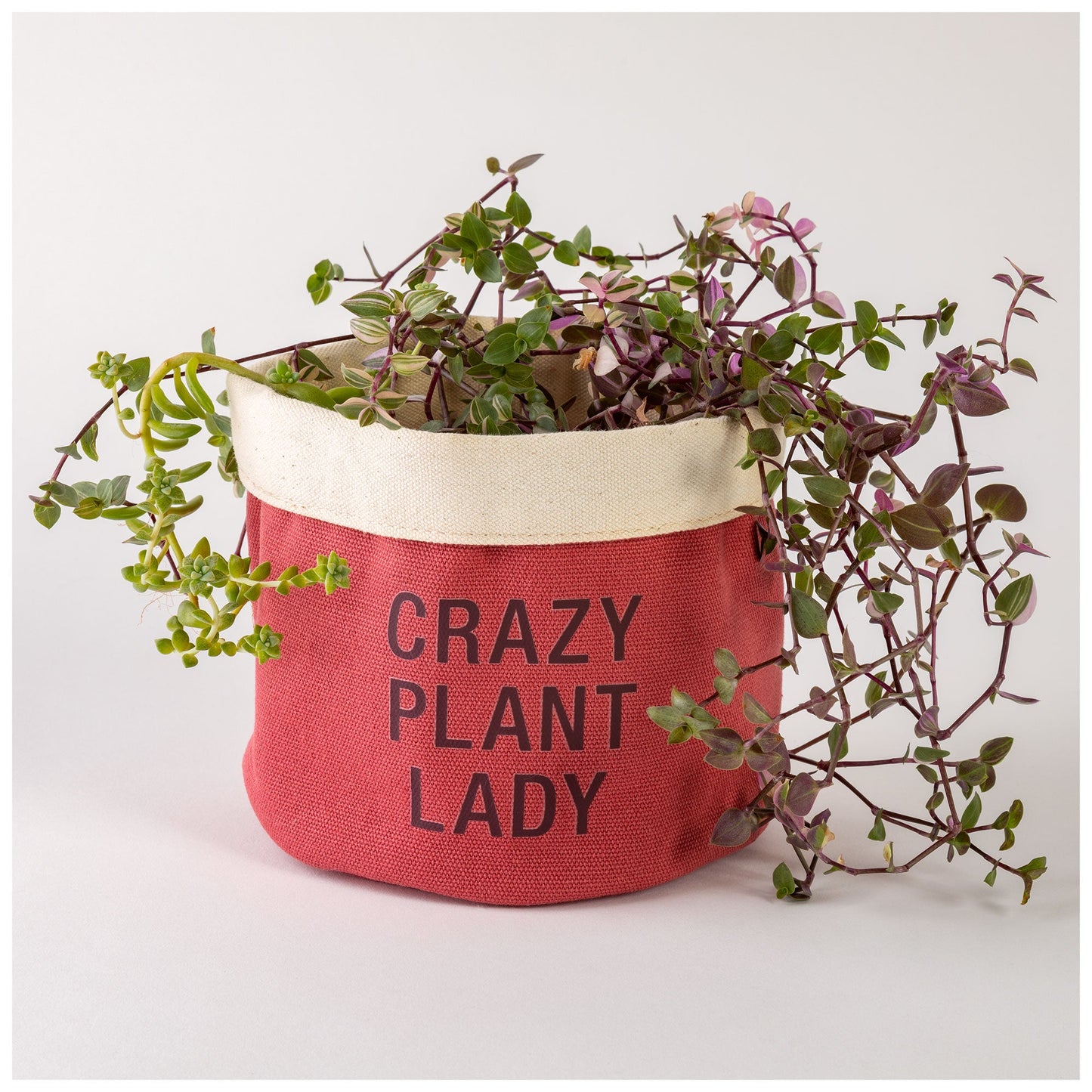 Crazy Plant Lady Indoor Planter Cover