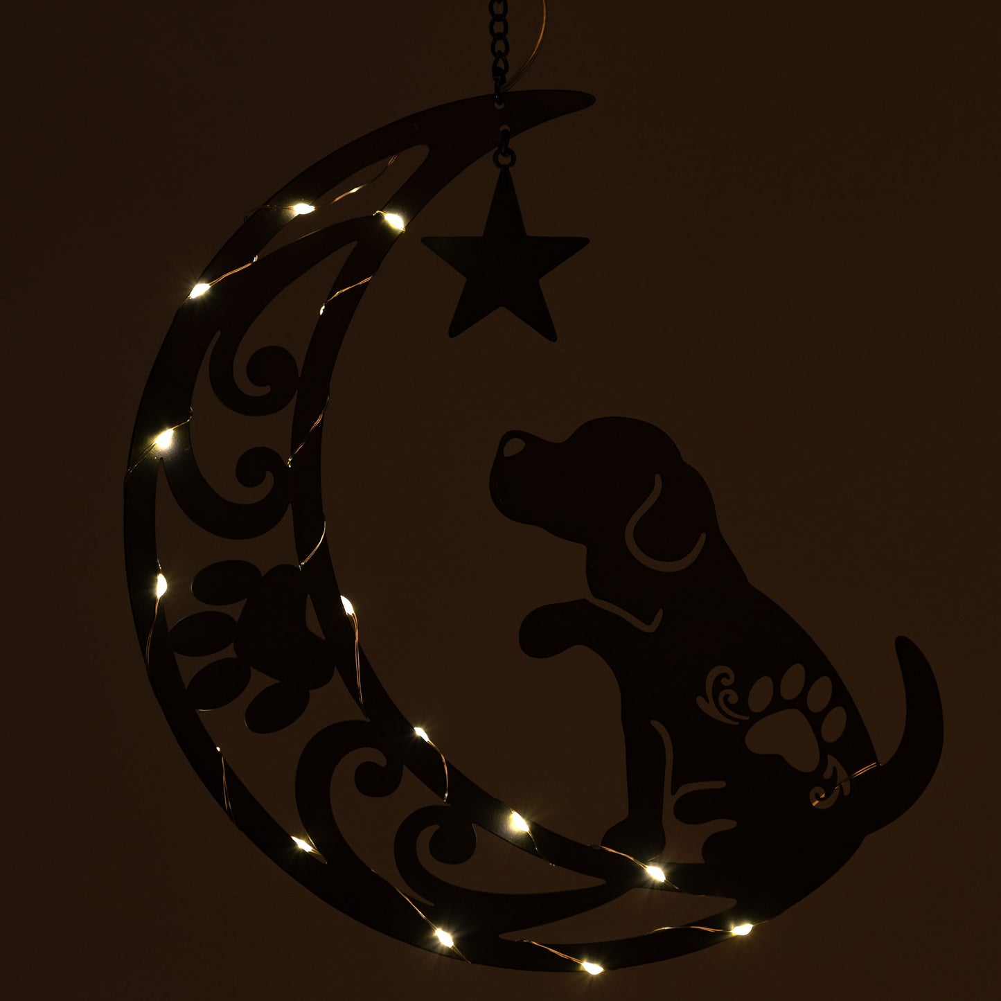 Star Gazing Pets On The Moon Solar Hanging Light