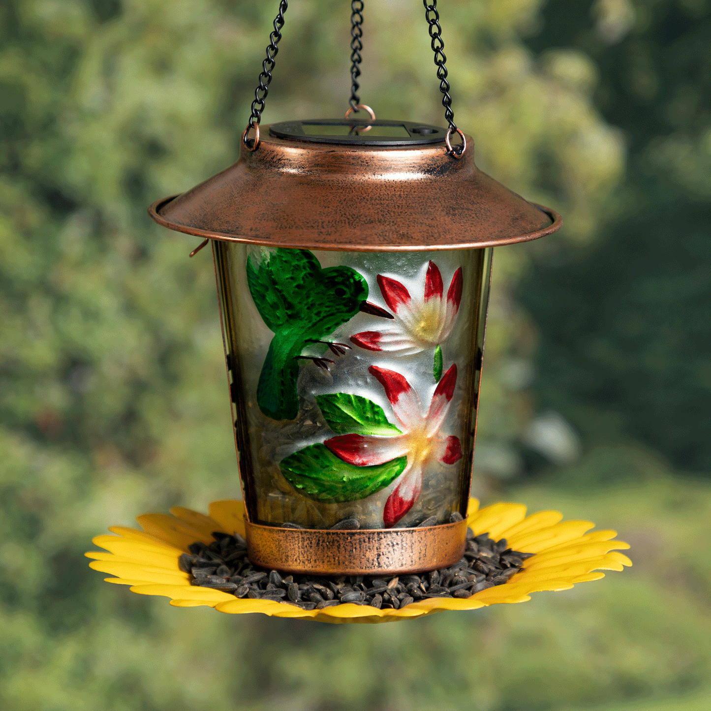 Hummingbird Solar Hanging Bird Feeder