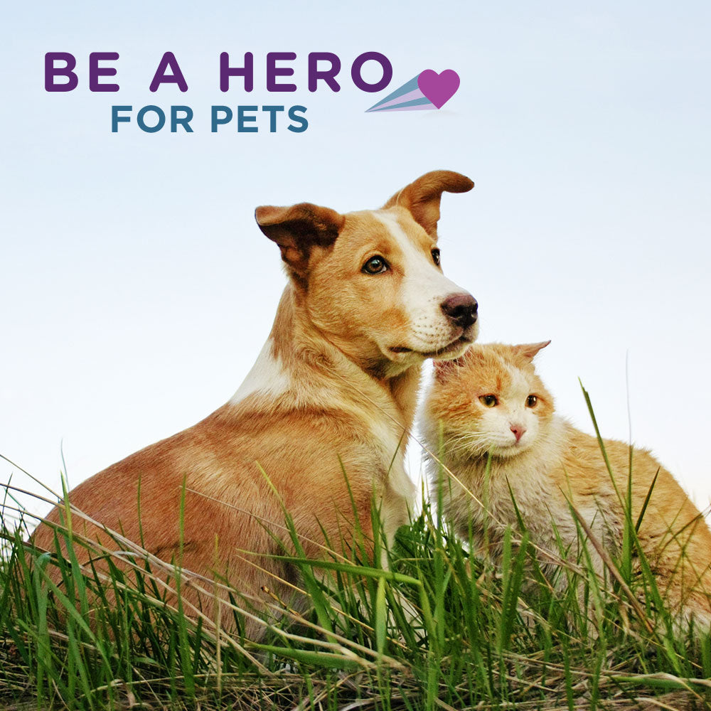 Be a Hero for Pets!