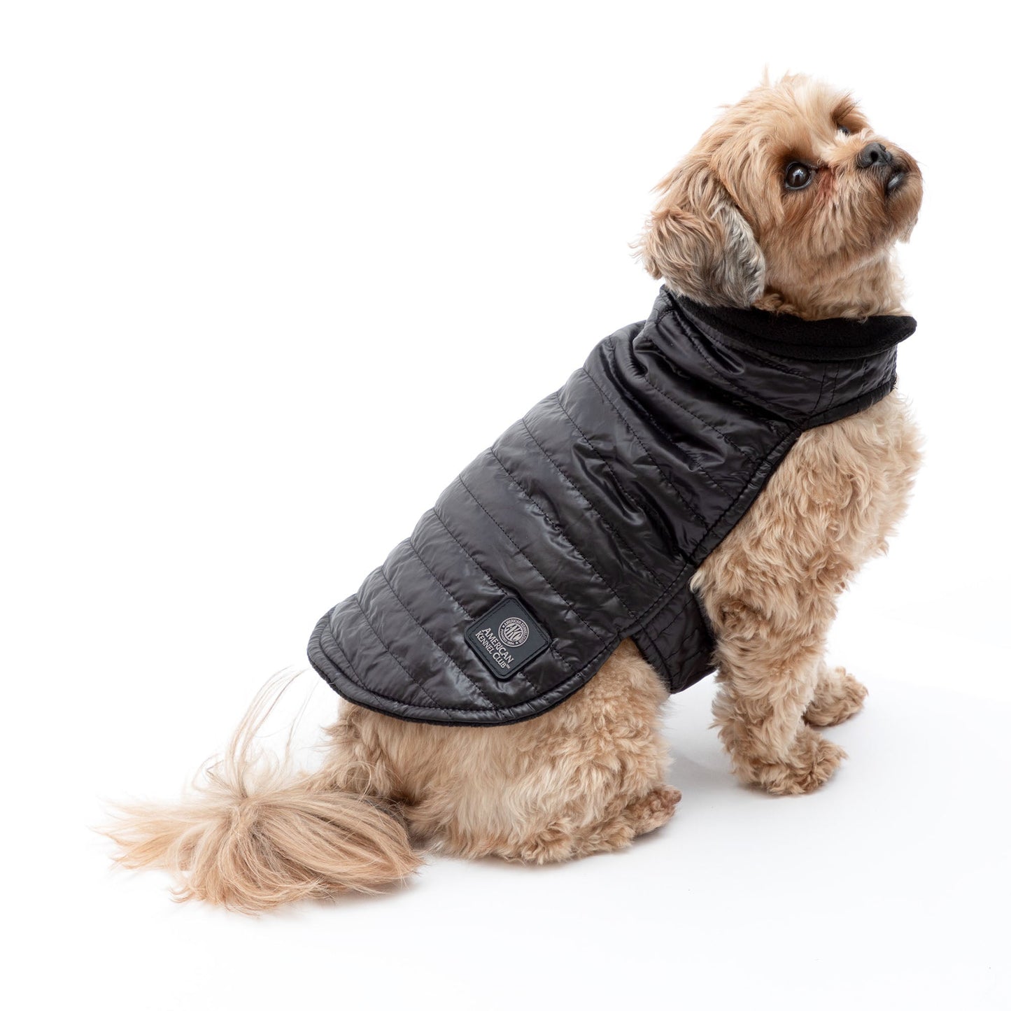 AKC Belly Band Dog Puff Coat