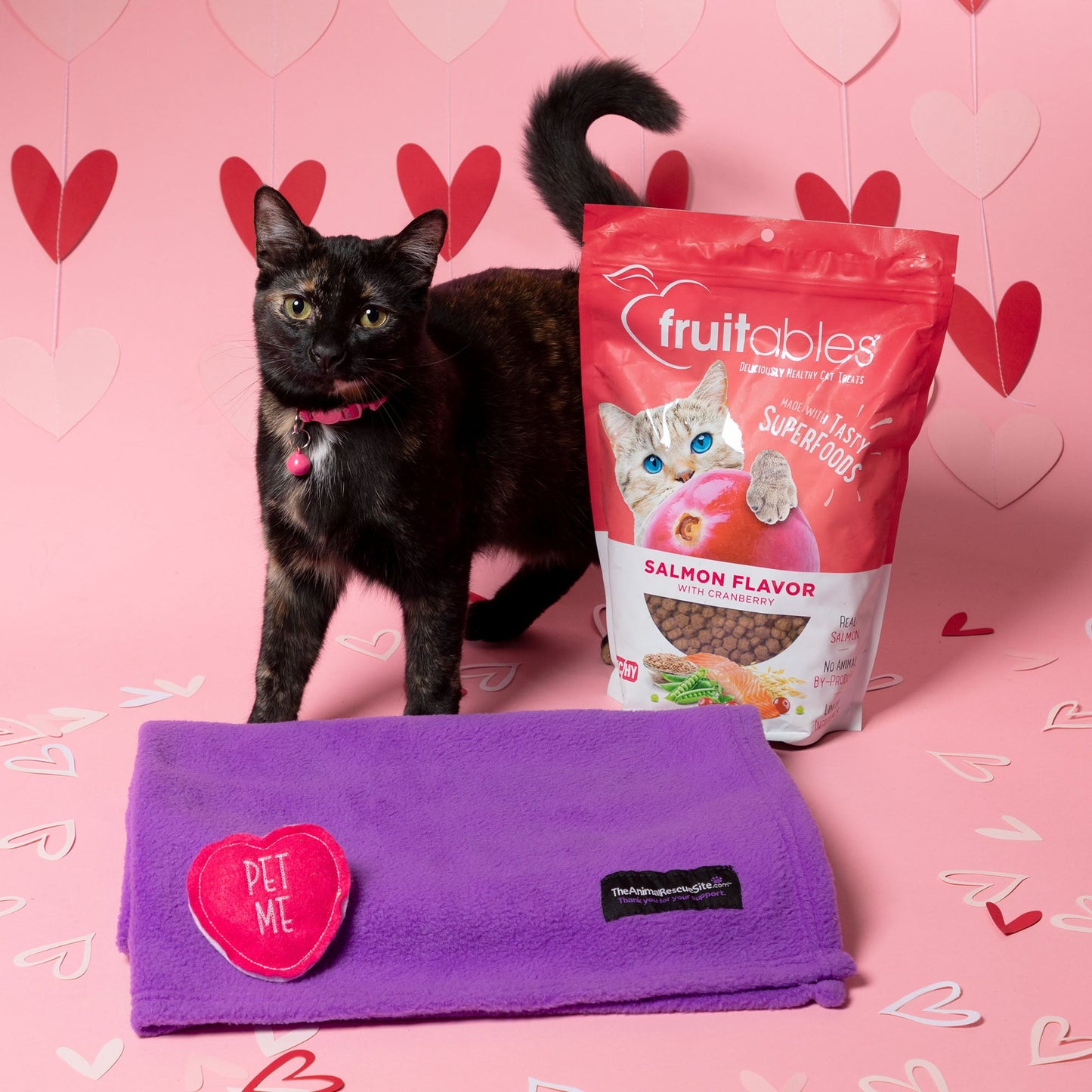 6th Annual Send a Valentine & Love To a Shelter Fur Baby