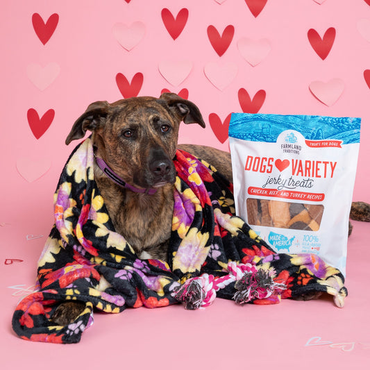 6th Annual Send a Valentine & Love To a Shelter Fur Baby