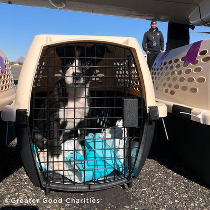 Fund Crates and More for Flights to Freedom