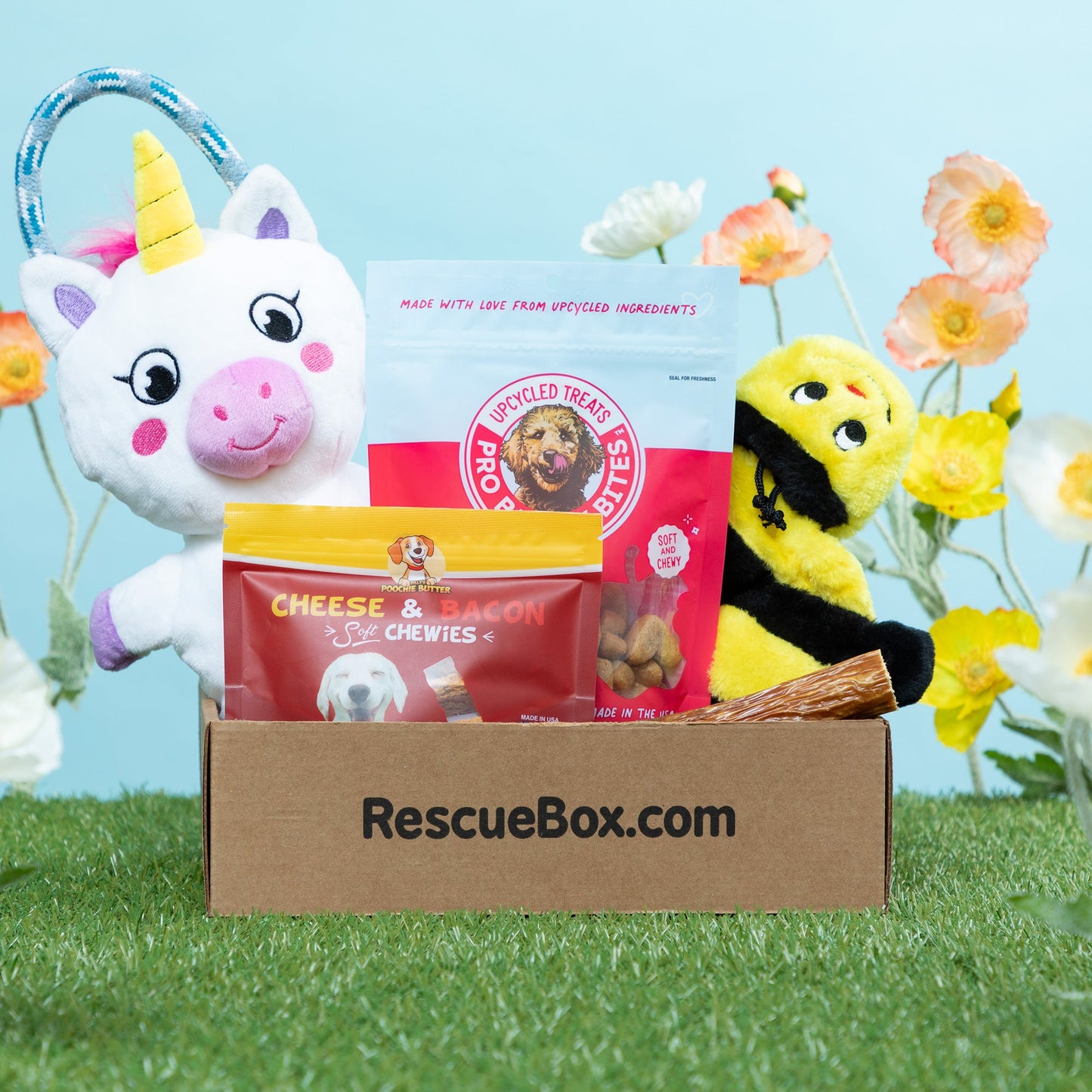 RescueBox&reg; - Spoil Your Pet, Help Animals In Need