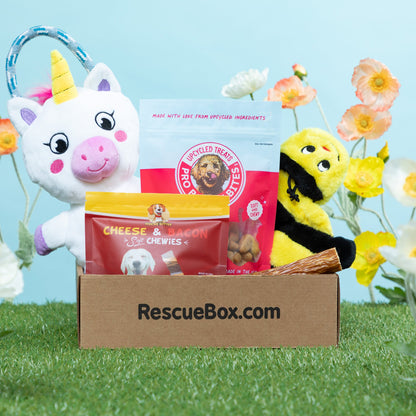 RescueBox&reg; - Spoil Your Pet, Help Animals In Need