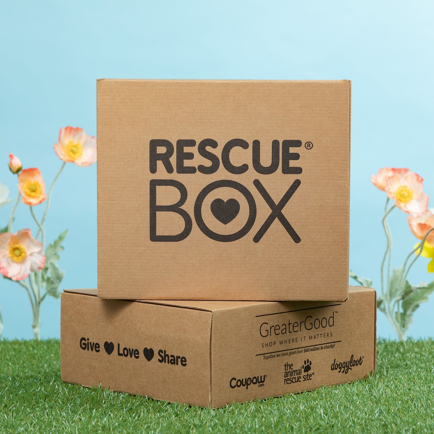 RescueBox&reg; - Spoil Your Pet, Help Animals In Need