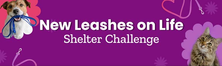 New Leashes on Life Shelter Challenge