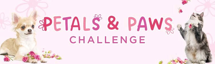 Petals & Paws Shelter Challenge