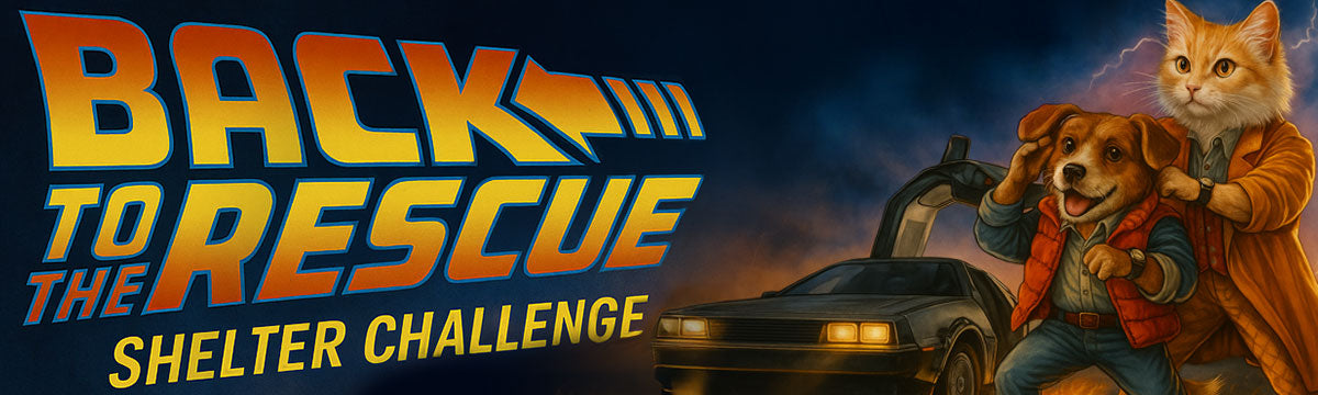 Back to the Rescue Shelter Challenge