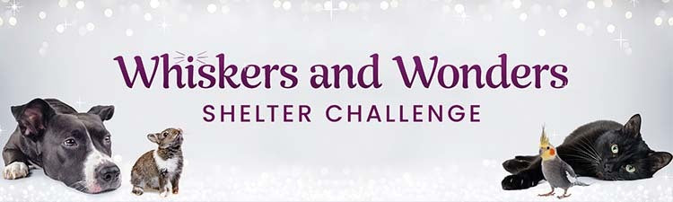 Whiskers and Wonders Shelter Challenge