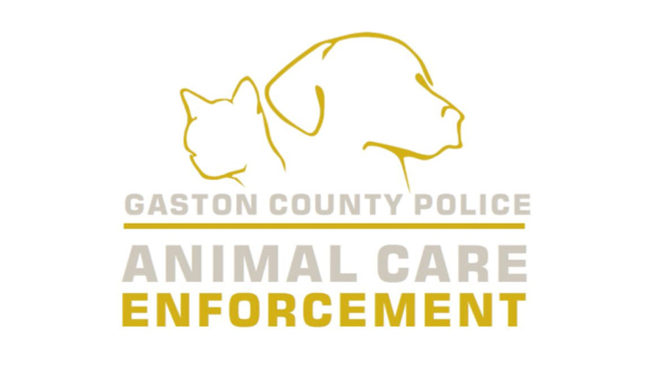 Gaston County Animal Care and Enforcement  in Gastonia, 517 | Clear The Shelters 2022 image