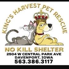 Kings Harvest Pet Rescue in Davenport , IA | Clear The Shelters image