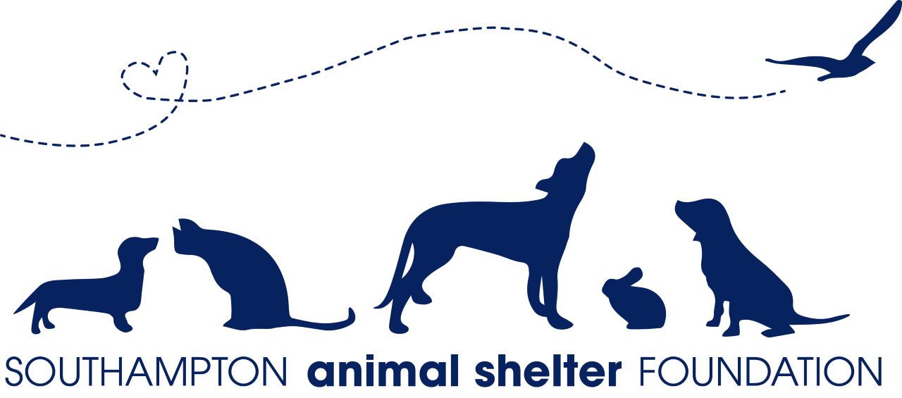 Southampton Animal Shelter Foundation in Hampton Bays, 501 | Clear The Shelters 2022 image