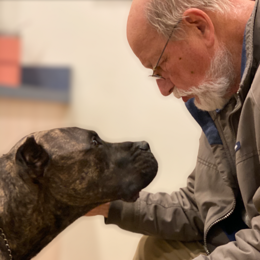 Almost Home Animal Sanctuary  in Reading , 504 | Clear The Shelters 2022 image