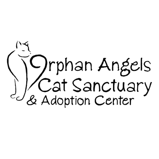 Orphan Angels in Erie, 516 | Clear The Shelters 2022 image