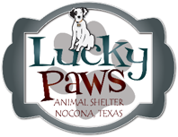 Nocona Lucky Paws Animal shelter in Nocona, 627 | Clear The Shelters 2022 image