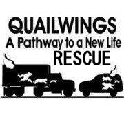 Quailwings Rescue in Cut Bank, MT | Clear The Shelters image