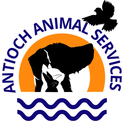 Antioch Animal Services in Antioch, 807 | Clear The Shelters 2022 image