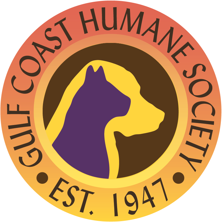 Gulf Coast Humane Society in Fort Myers, 571 | Clear The Shelters 2022 image