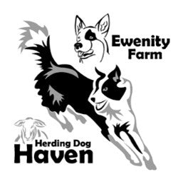 Ewenity Farm Herding Dog Haven in Bradenton, FL | Clear The Shelters image