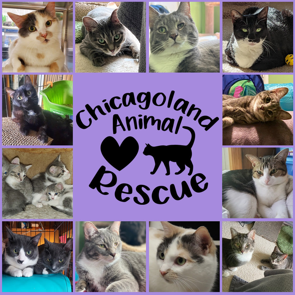 Chicagoland Animal Rescue NFP in Northlake, 602 | Clear The Shelters 2022 image