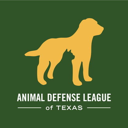 Animal Defense League of Texas in San Antonio, 641 | Clear The Shelters 2022 image