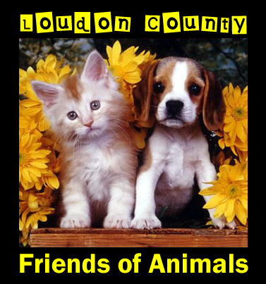 Loudon County Friends of Animals in Loudon, 557 | Clear The Shelters 2022 image