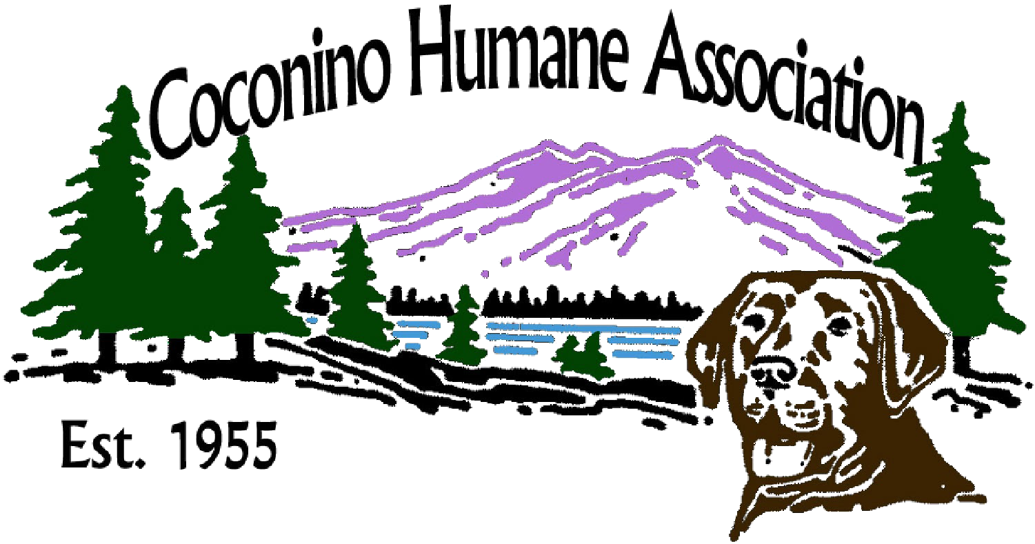 Coconino Humane Association in Flagstaff, 753 | Clear The Shelters 2022 image