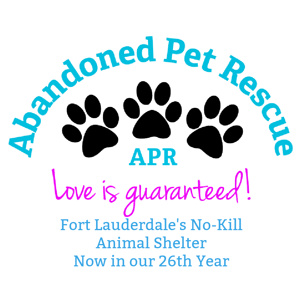 Abandoned Pet Rescue in Fort Lauderdale, 528 | Clear The Shelters 2022 image