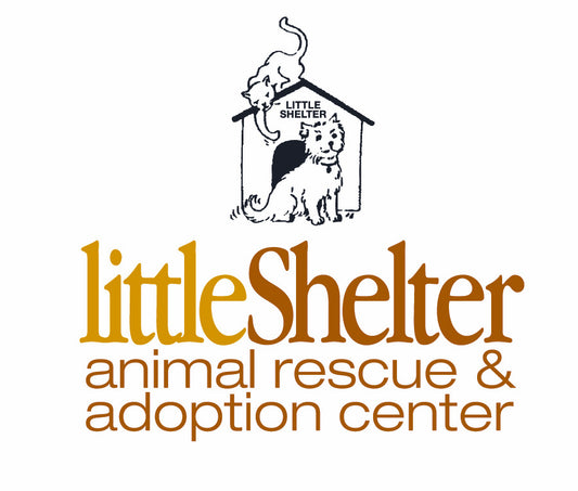 Town of Huntington Cat Shelter in Huntington , 501 | Clear The Shelters 2022 image