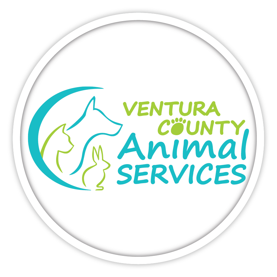 Ventura County Animal Services in Camarillo, 803 | Clear The Shelters 2022 image