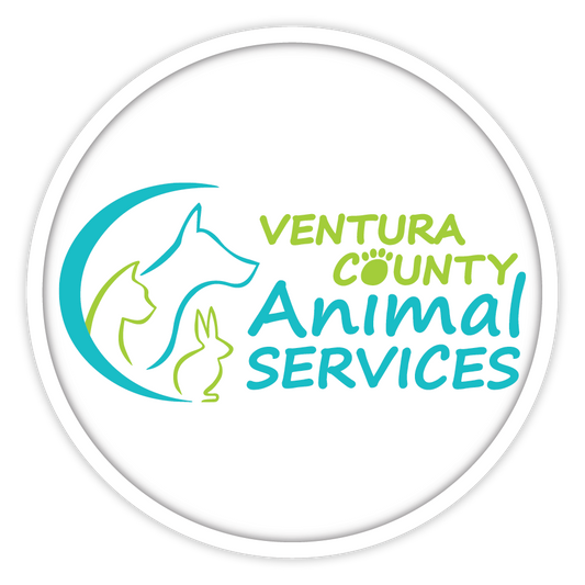 Ventura County Animal Services in Camarillo, 803 | Clear The Shelters 2022 image