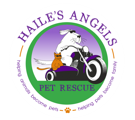 Haile's Angels Pet Rescue in Gainesville, 592 | Clear The Shelters 2022 image