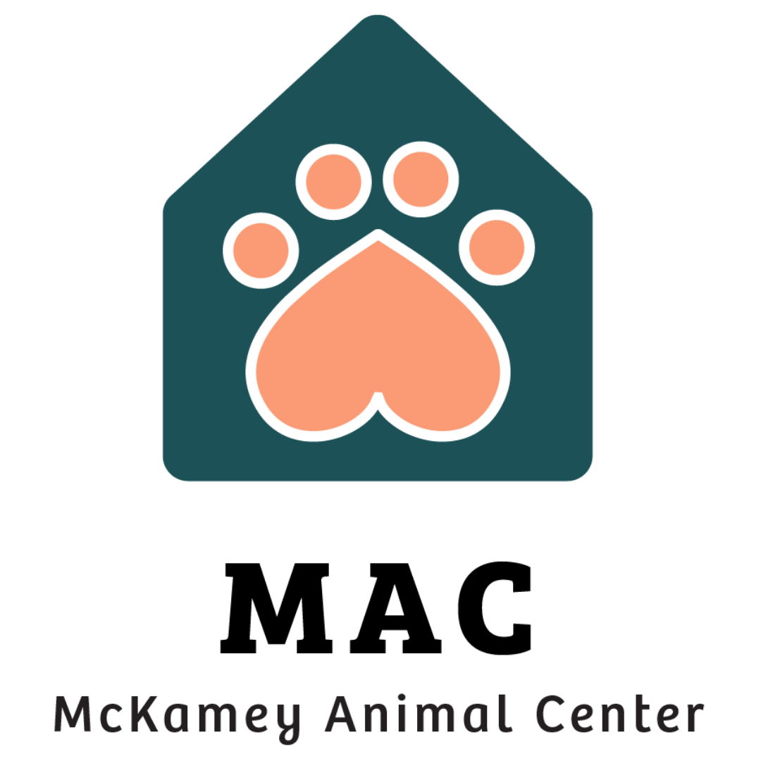 McKamey Animal Center in Chattanooga, 575 | Clear The Shelters 2022 image