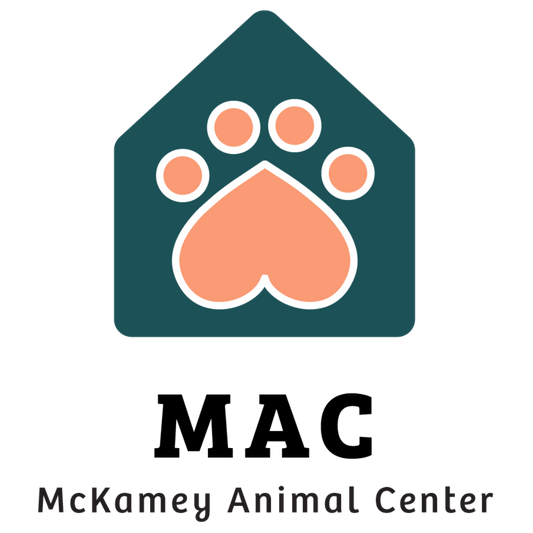 McKamey Animal Center in Chattanooga, 575 | Clear The Shelters 2022 image