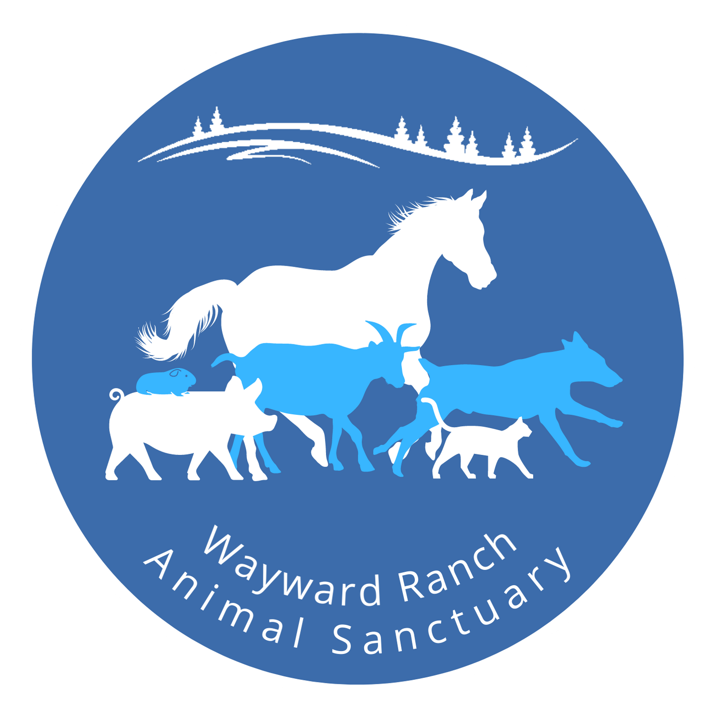 Wayward Ranch Animal Sanctuary in Kerhonkson, 501 | Clear The Shelters 2022 image