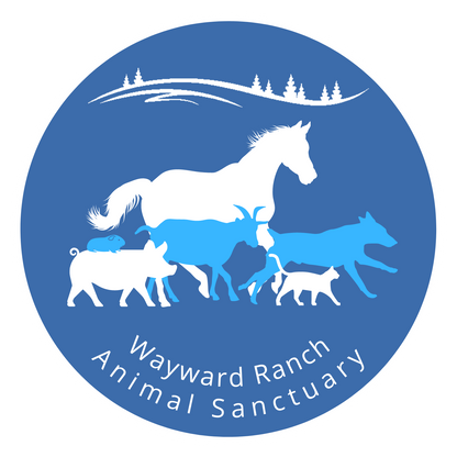 Wayward Ranch Animal Sanctuary in Kerhonkson, 501 | Clear The Shelters 2022 image